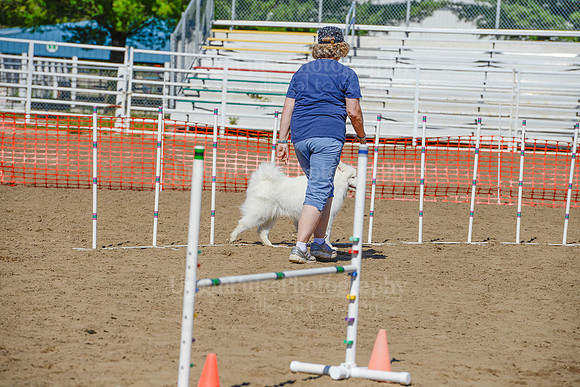 AGILITY-2284