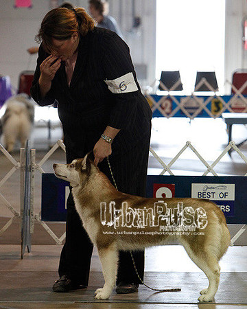Fargo_2011-4161