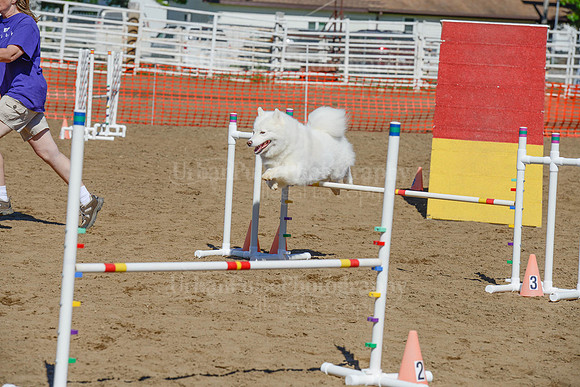 AGILITY-2307