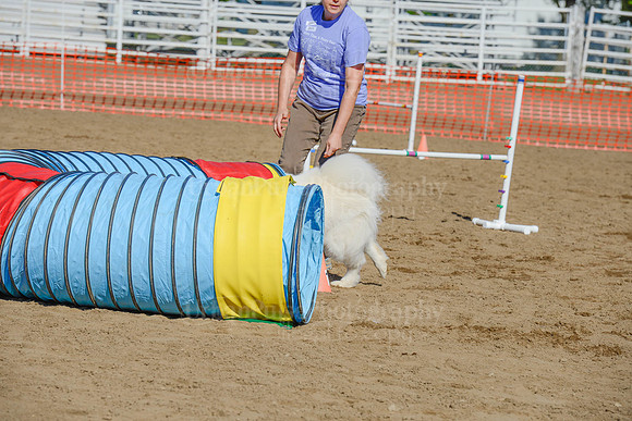 AGILITY-2114