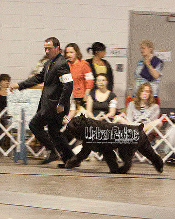 Fargo_2011-3973