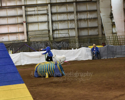 SCA2016_AG MON FAST NOVICE-0092