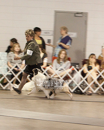 Fargo_2011-3980