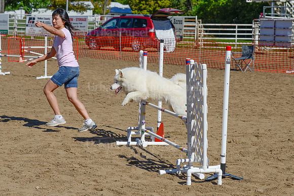 AGILITY-2246