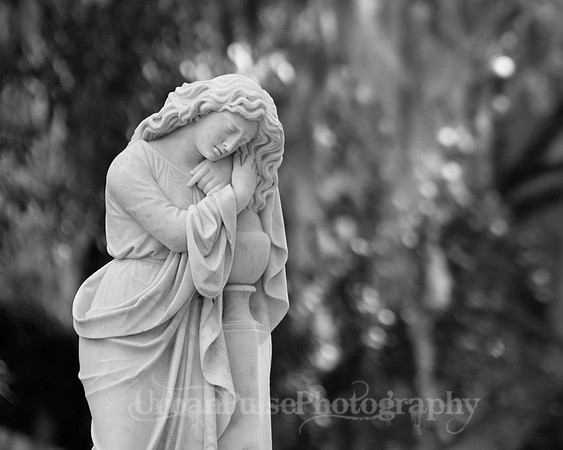 Savannah_9904