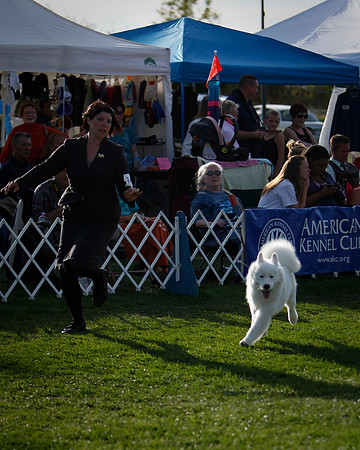 BREED_Finals-8515