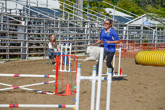 AGILITY-2151
