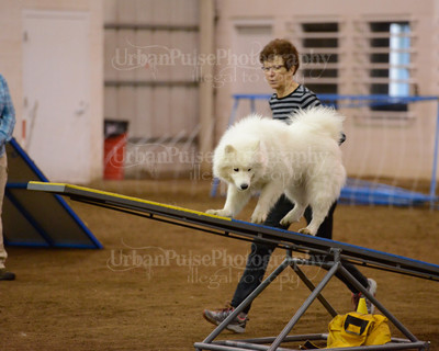 SCA2016_AG MON FAST NOVICE-3572