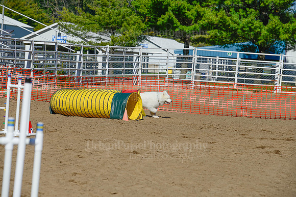 AGILITY-2189