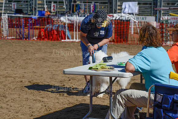 AGILITY-2383