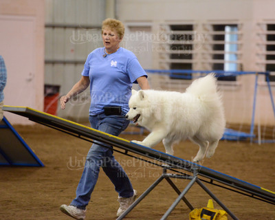 SCA2016_AG MON FAST NOVICE-3540