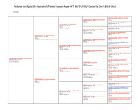 Agates DAM Pedigree