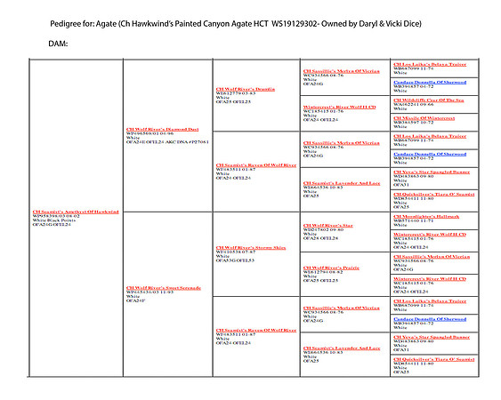 Agates DAM Pedigree