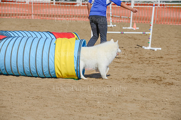 AGILITY-2148