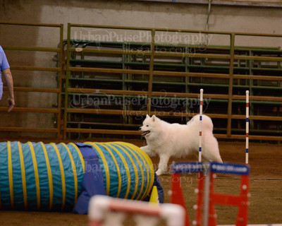 SCA2016_AG MON FAST NOVICE-3543