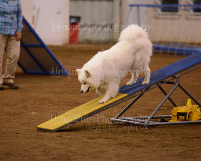 SCA2016_AG MON FAST NOVICE-3558