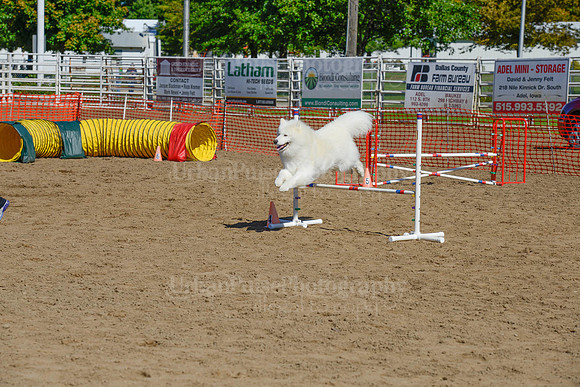 AGILITY-2213