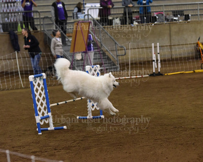 SCA2016_AG MON FAST NOVICE-0073