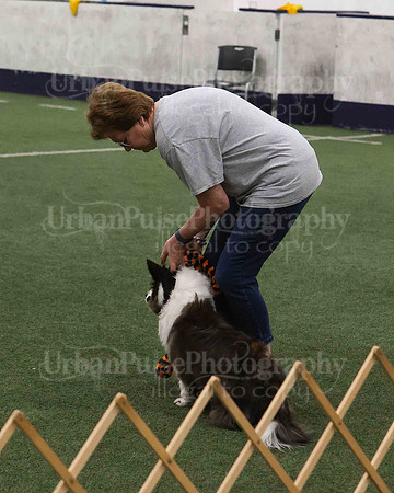 CWCCA AGILITY TRIAL 1-9551