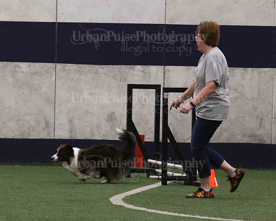 CWCCA AGILITY TRIAL 1-9559