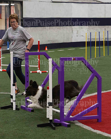 CWCCA AGILITY TRIAL 1-9567