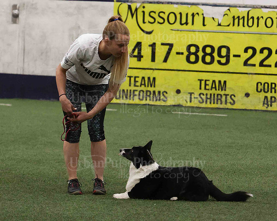 CWCCA AGILITY TRIAL 1-9569