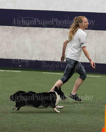 CWCCA AGILITY TRIAL 1-9577