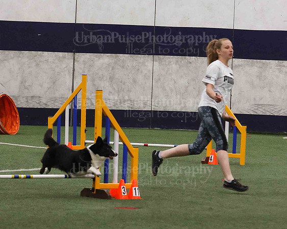 CWCCA AGILITY TRIAL 1-9576