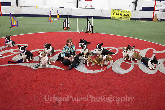 CWCCA AGILITY TRIAL 2-1544