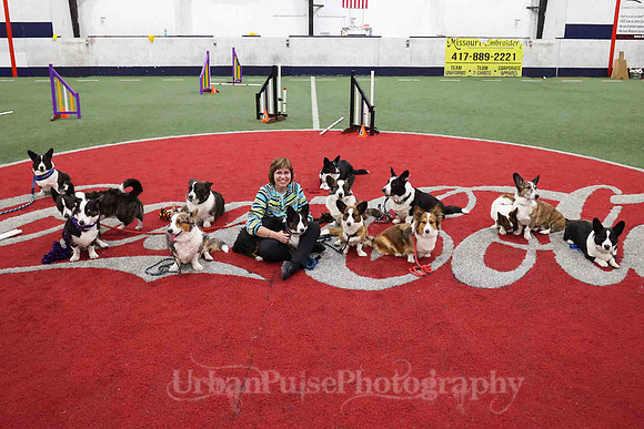 CWCCA AGILITY TRIAL 2-1541