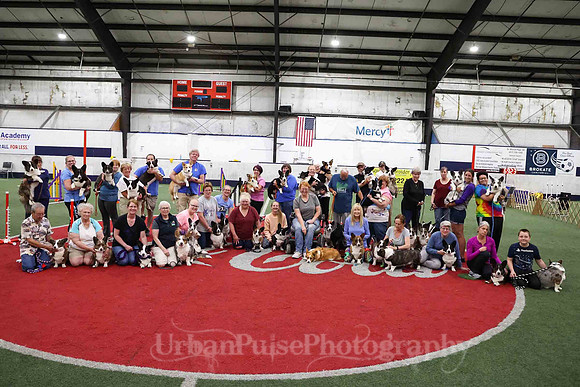 CWCCA AGILITY TRIAL 2-1538