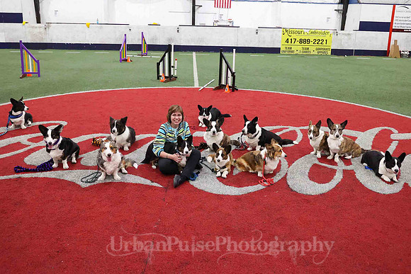 CWCCA AGILITY TRIAL 2-1547