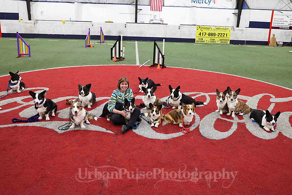 CWCCA AGILITY TRIAL 2-1548