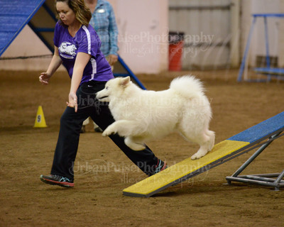 SCA2016_AG MON FAST NOVICE-3579