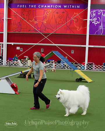 AGILITY_9447
