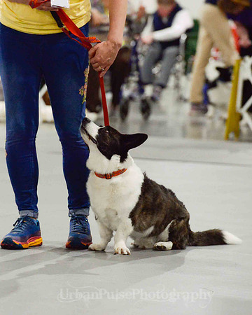 RALLY-2543