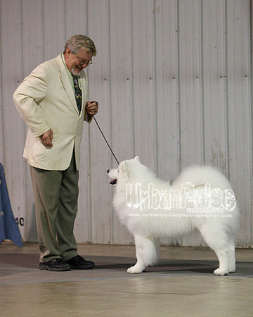 Fargo_2011-3844