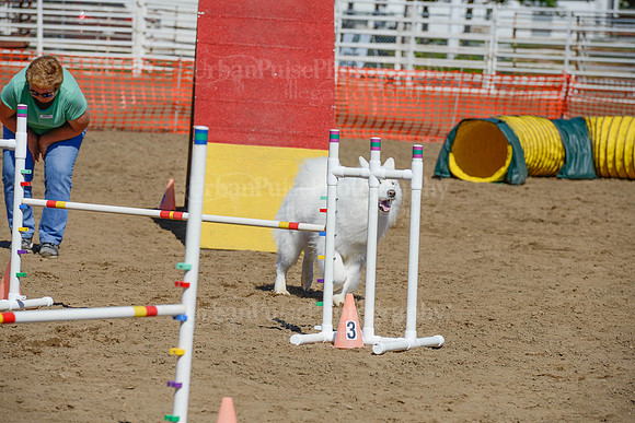 AGILITY-2345