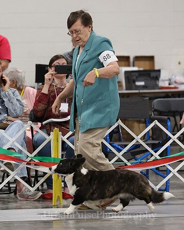 CWCCA B12-15-4017