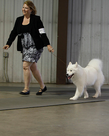 Fargo_2011-3714