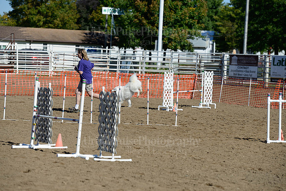 AGILITY-1898