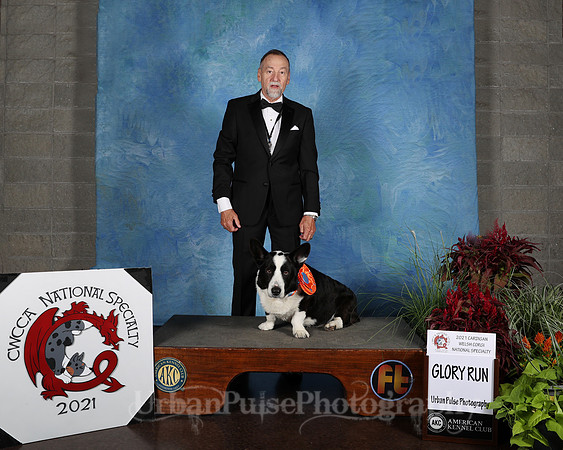 PERFORMANCE AWARD-2650