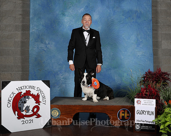 PERFORMANCE AWARD-2652