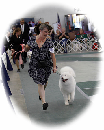 SCANational2012_Allele_0359