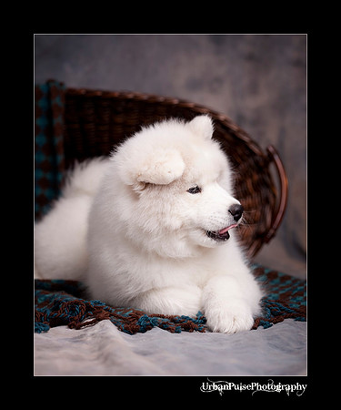 GreenBoy_10wks_web_0634