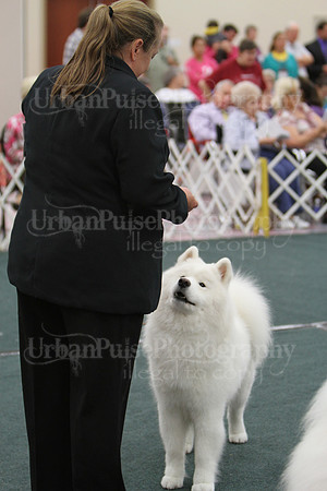 D BOB GR4-3798 2014 SCA National