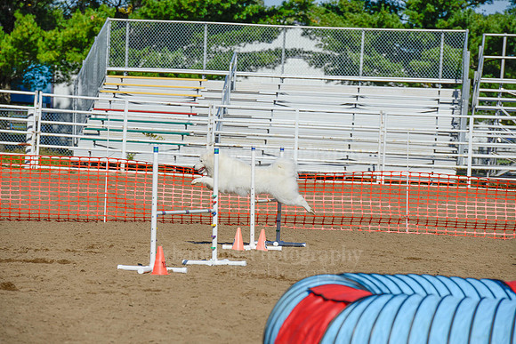 AGILITY-2078