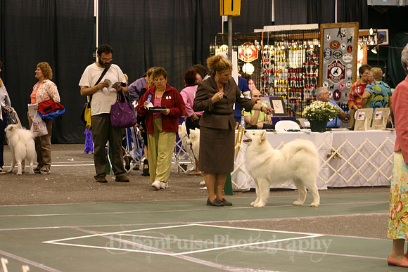 IMG_9798