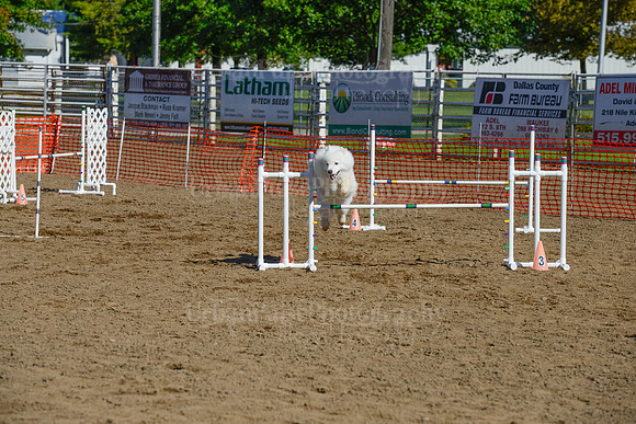 AGILITY-2059