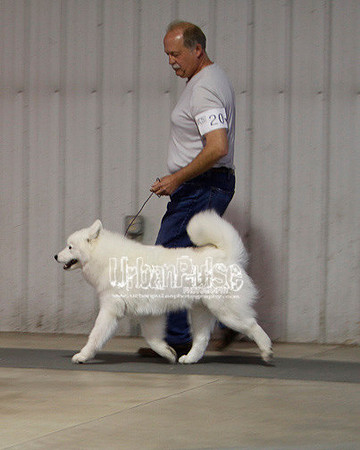 Fargo_2011-3707
